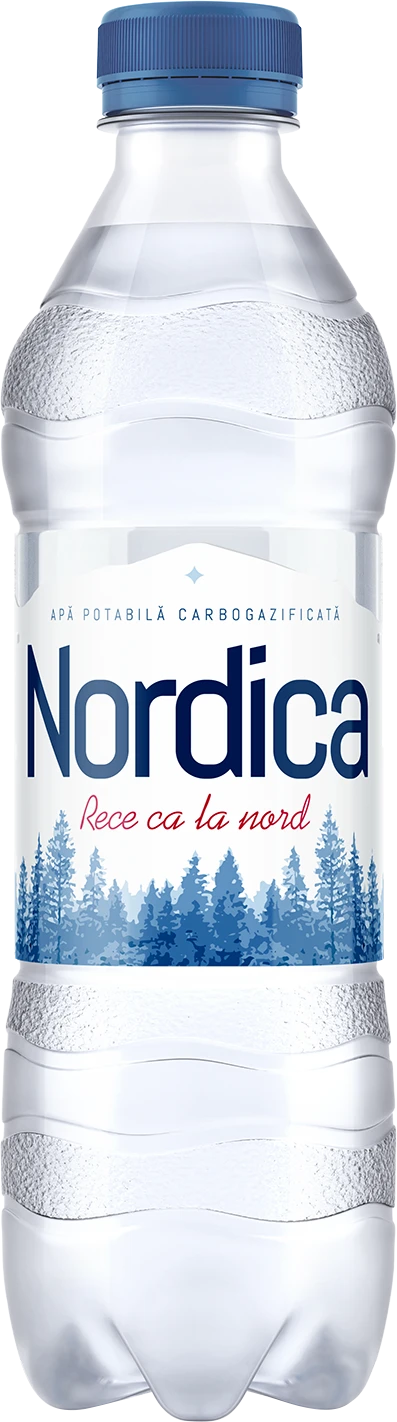 Nordica газированная 0,5 л, 12 шт